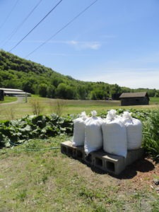 Compost Barstow S Dairy Store And Bakery